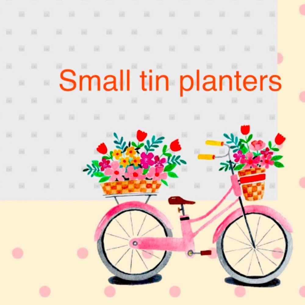 Small Galvanized or Tin Planters🪴